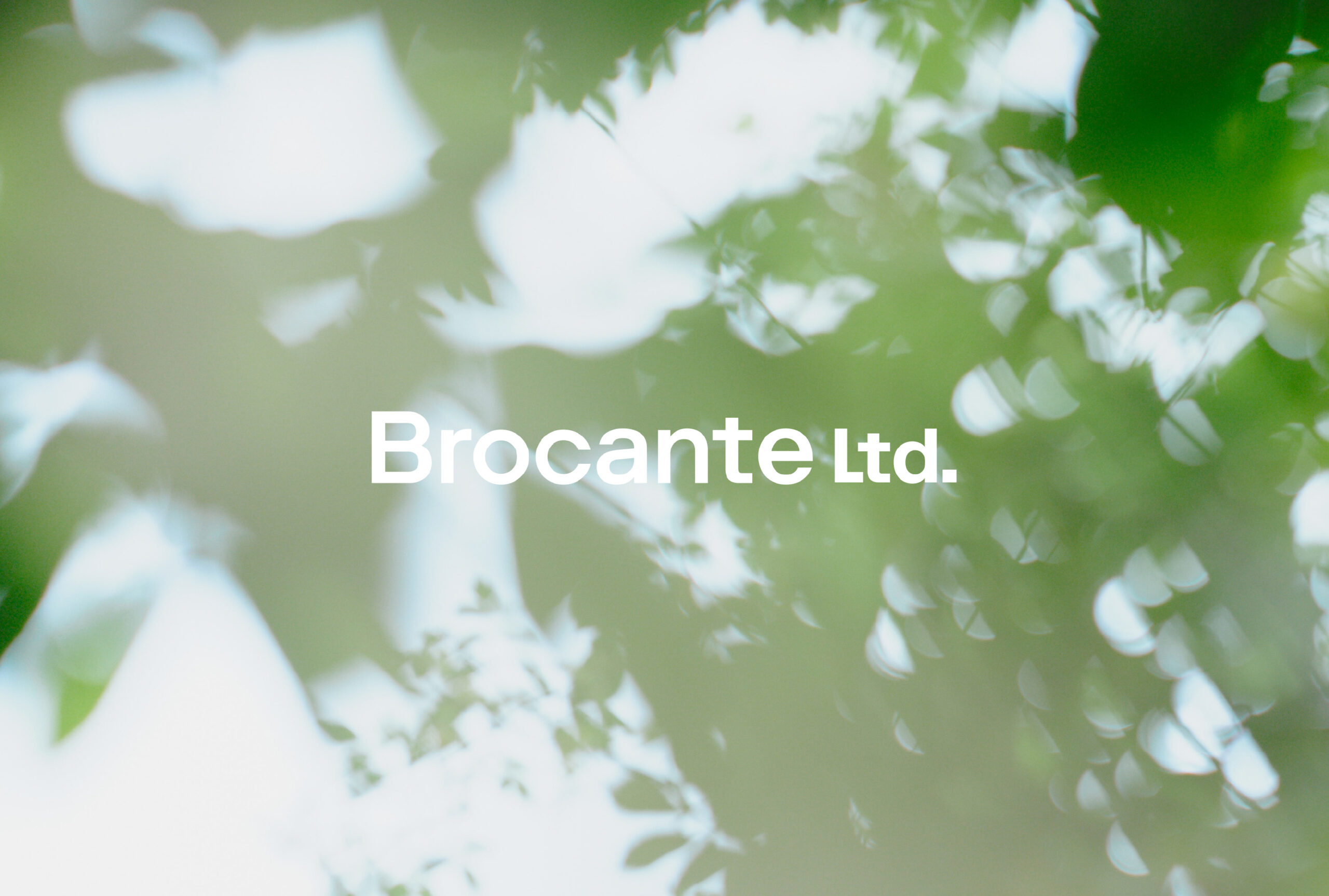 ブランドの役割を整理し、価値を伝え直す。｜「BROCANTE」リブランディングプロジェクト