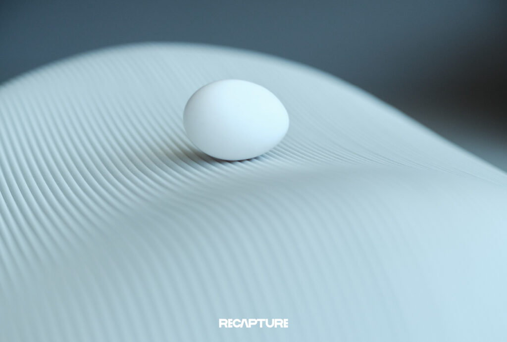 recapture_事例