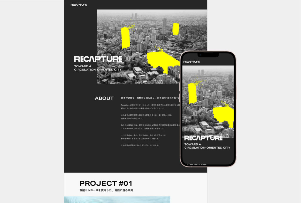 recapture_WEB