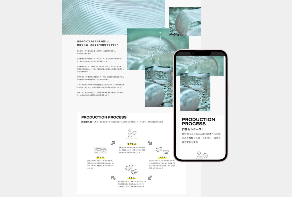 recapture_WEB