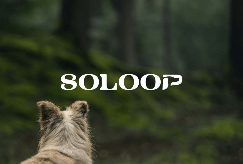 SOLOOP_ロゴ