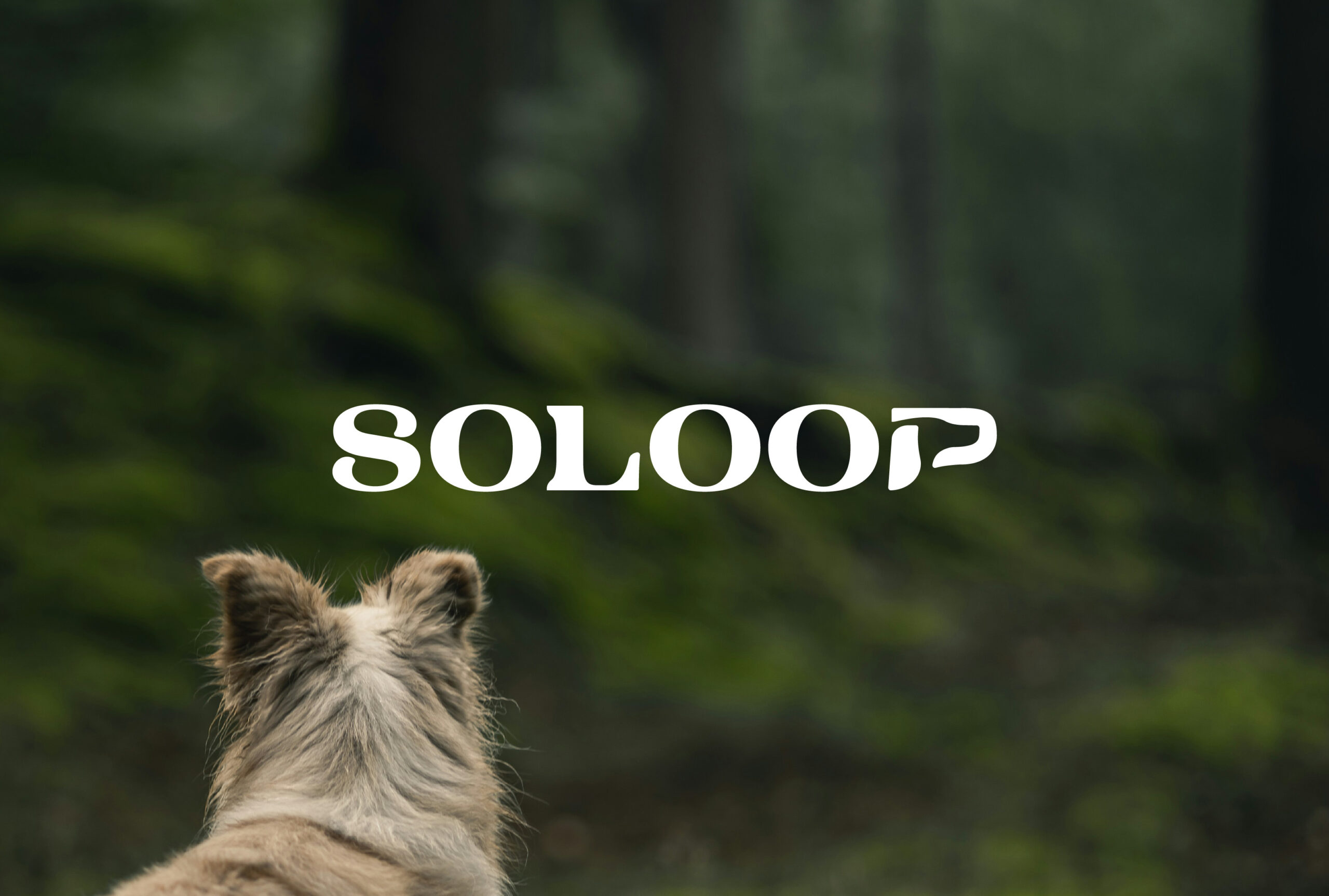 “命の循環”という役割をもったジャーキーづくり｜ドッグジャーキー「SOLOOP」マイクロブランディング
